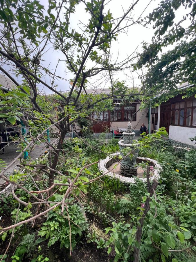 Lovely Home For You Osch Exterior foto